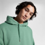 Толстовка Converse GOLD STANDARD HOODIE 10025917-312